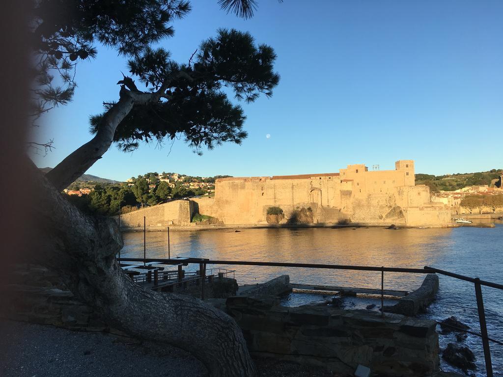 Un Balcon Sur La Mer Port Vendres Ngoại thất bức ảnh
